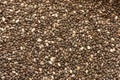 Mixed red, white and black quinoa as an abstract background texture Royalty Free Stock Photo