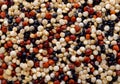 Mixed red, white and black quinoa background Royalty Free Stock Photo