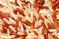 Mixed rice grain