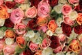 Mixed rose bouquet Royalty Free Stock Photo