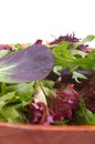 Mixed salad Royalty Free Stock Photo