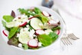 Mixed salad with baby leaves, radish, cucumber and feta cheese Royalty Free Stock Photo