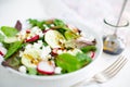 Mixed salad with baby leaves, radish, cucumber and feta cheese Royalty Free Stock Photo