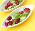 Mixed salad with beans Royalty Free Stock Photo