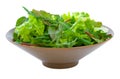 Mixed Salad Greens over white