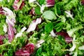 Mixed salad leaves frisee, radicchio and lamb's lettuce. Background, texture Royalty Free Stock Photo