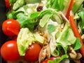 Mixed salad,tomatoes,nuts, ginger Royalty Free Stock Photo