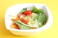 Mixed salad with Tomatoes Royalty Free Stock Photo