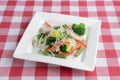 Mixed Salad on White Plate with mixed greens, cucumber, brocolli, squash and carrots served on red plaid table cloth Royalty Free Stock Photo