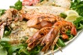 Mixed seafood grill Royalty Free Stock Photo