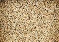 Mixed seed for feed bird as nature food background - Top view of white , brown and black grains Royalty Free Stock Photo