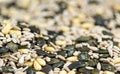 Mixed Seeds (selective focus) for use as background image or as Royalty Free Stock Photo