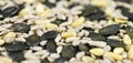 Mixed Seeds selective focus for use as background image Royalty Free Stock Photo