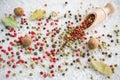 Mixed spices for cooking. Salt, bay leaves, nutmeg and color pepper. Royalty Free Stock Photo