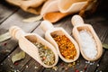 Mixed spices Royalty Free Stock Photo