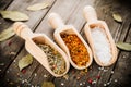 Mixed spices Royalty Free Stock Photo