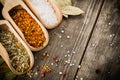 Mixed spices Royalty Free Stock Photo