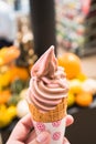 Mixed strawberry chocolate soft served ice cream Royalty Free Stock Photo