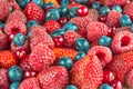 Mixed summer berries background