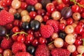 Mixed summer berries raspberry, blackcurrant, redcurrant, white currant, gooseberry, cherry on the white wooden background. Royalty Free Stock Photo