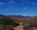 Dry steam bed, Northern Cape, South Africa Royalty Free Stock Photo