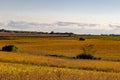 Mixed use farm with predominant Soya bean Soybeans