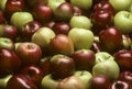 Mixed varieties of apples Royalty Free Stock Photo