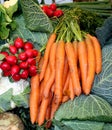 Mixed vegetable Royalty Free Stock Photo