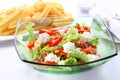 Mixed vegetable salad with tuna and cottage cheese Royalty Free Stock Photo