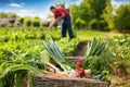 Mixed vegetable in wicker basket in garden Royalty Free Stock Photo