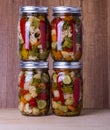 Mixed vegetables preserved in jars Royalty Free Stock Photo