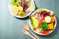 Mixed vegetables salad, top view Royalty Free Stock Photo