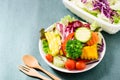 Mixed vegetables salad on white dish ready for eating, healthy f Royalty Free Stock Photo