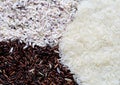 Mixed white rice ,wheat berries rice and Sticky rice uncooked Royalty Free Stock Photo