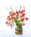 Mixed wild flowers bouquet, grasses and Poppies, in a glass vase