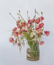 Mixed wild flowers bouquet, grasses and Poppies, in a glass vase