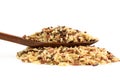 Mixed wild organic brown rice Royalty Free Stock Photo