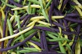 Mixed yellow purple green raw string bean Royalty Free Stock Photo