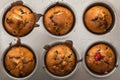 Muffins baked and ready to be served