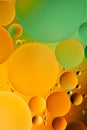 Mixing water and oil, beautiful color abstract background based on red and yellow circles and ovals, macro abstraction