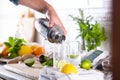 Mixologist making refreshing cocktail with hard seltzer at home Royalty Free Stock Photo