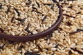 A mixture of brown and black unpolished wild rice in a clay ceramic bowl close-up Royalty Free Stock Photo