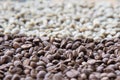 Mixture of different kinds of coffee beans. Coffee background