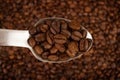 A mixture of different types of freshly roasted brown coffee beans on a spoon Royalty Free Stock Photo