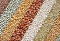 Mixture of dried lentils, peas, soybeans, beans Royalty Free Stock Photo