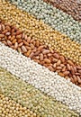 Mixture of dried lentils, peas, soybeans, beans Royalty Free Stock Photo