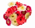 Mixture of Gerbera flowers, red, pink and white Royalty Free Stock Photo