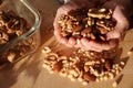 Mixture of nuts almonds walnut cedar