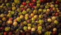 Mixture of pepper of different colors Royalty Free Stock Photo