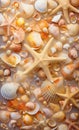 a mixture of shells and starfish on a beach Royalty Free Stock Photo